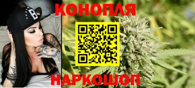 ГАЛЛЮЦИНОГЕННЫЕ ГРИБЫ Кингисепп
