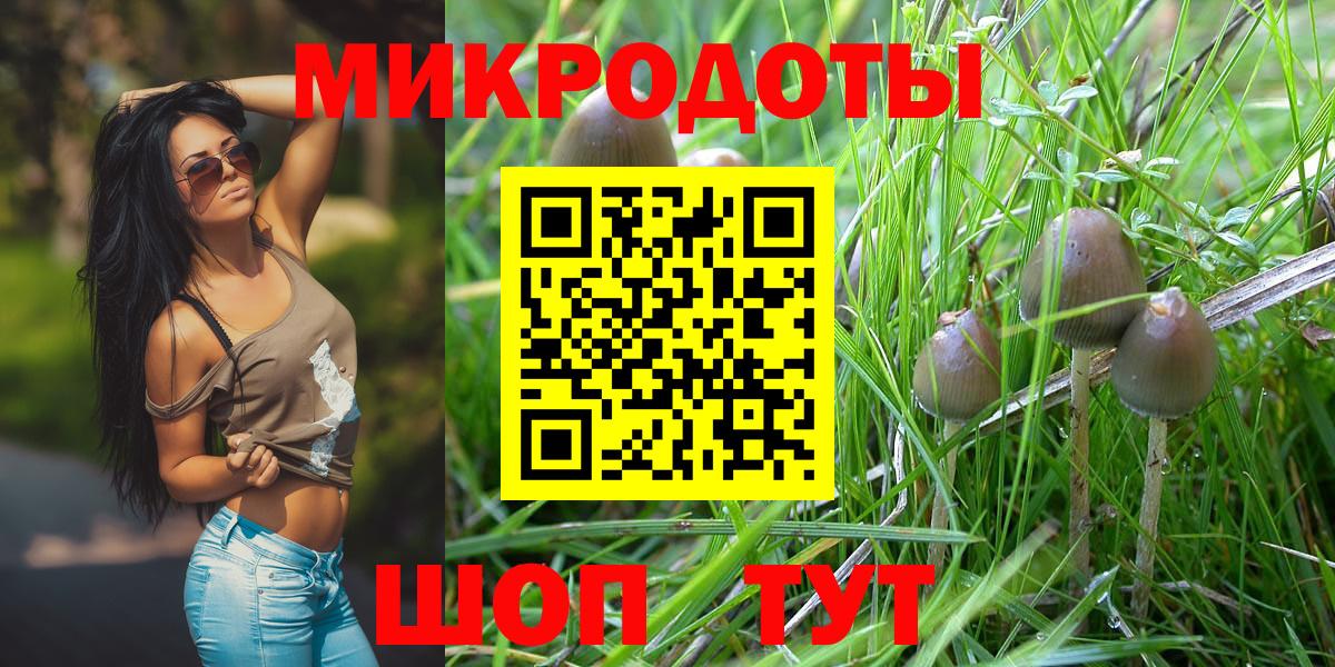 Галлюциногенные грибы Magic Shrooms Корсаков